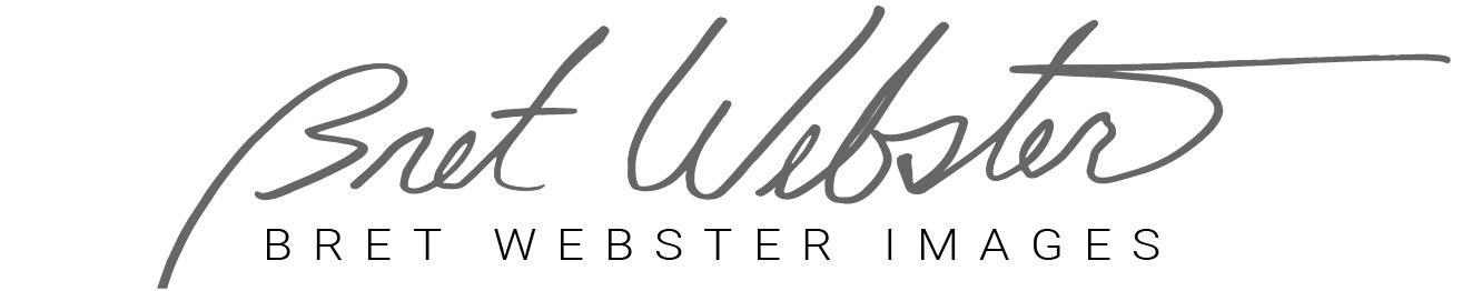 BWI logo and email signature-05