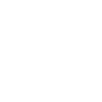 coffee bean