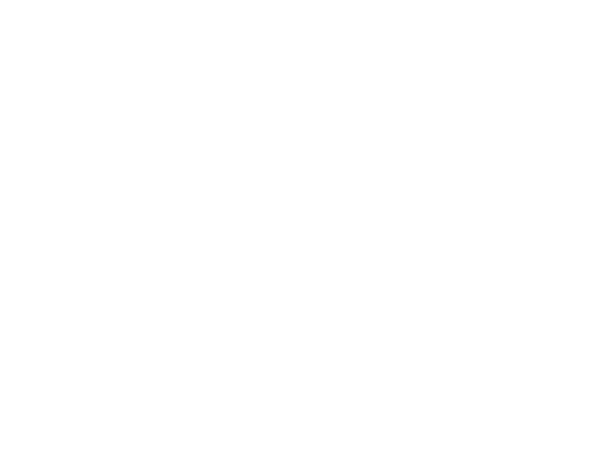 Carnegie Pizza White