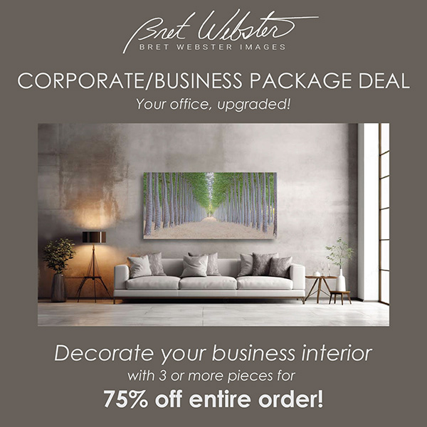 Promotion Corporate Deal-600x600