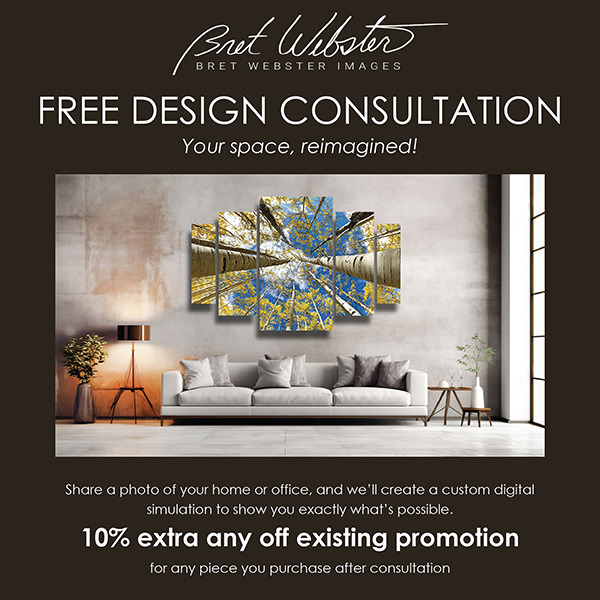 Promotion Free Design Consultation 600x600