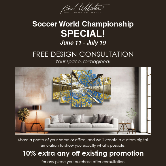 Bret Webster Gallery World Cup Promotion